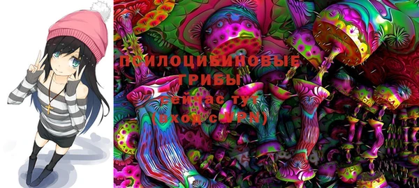 PSILOCYBIN Баксан
