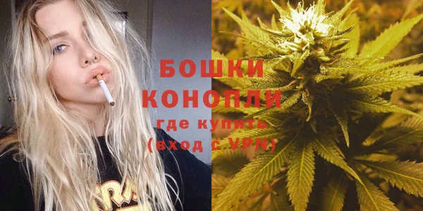 PSILOCYBIN Баксан