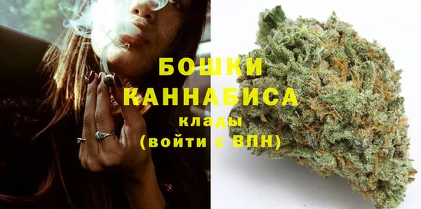 PSILOCYBIN Баксан