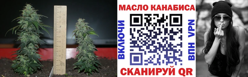 ТГК жижа  купить закладку  Бор 